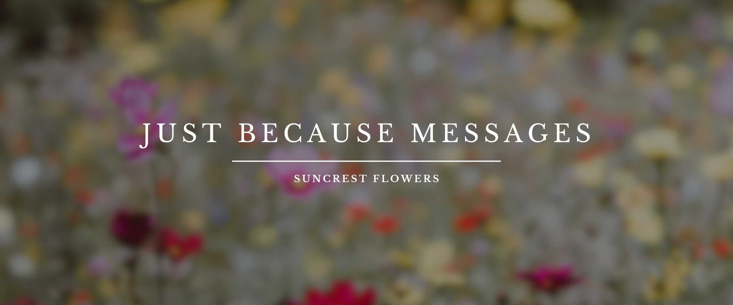 5 'Just Because' Card Messages Suncrest Flowers