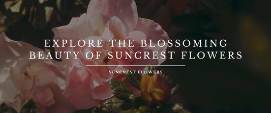 Discovering Draper's Most Exquisite Blooms at Suncrest Flowers