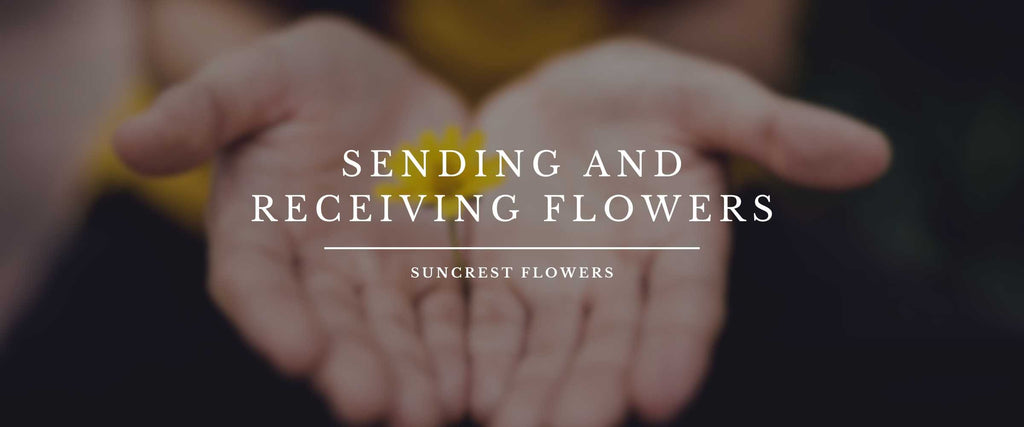 Why Flowers are the MVPs of All Occasions