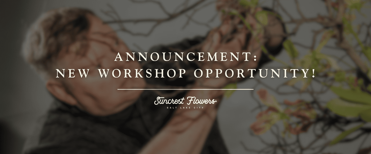 Announcement: New Workshop Opportunity!