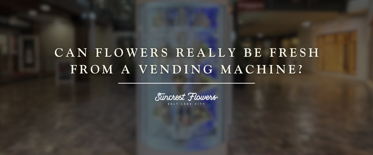 Can Flowers Really Be Fresh From a Vending Machine?
