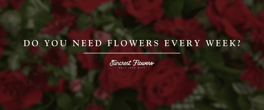 Do You Need Flowers Every Week?