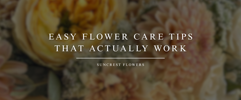 Easy Flower Care Tips That Actually Work