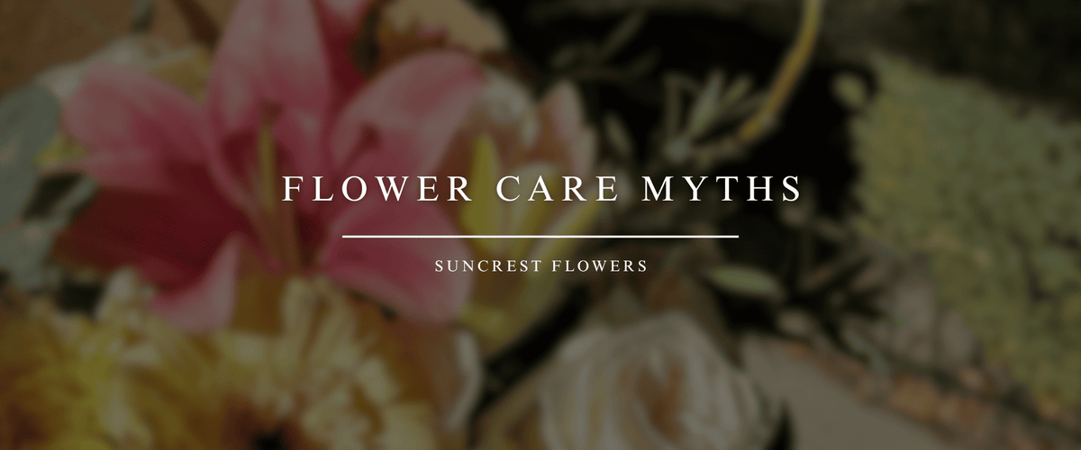 Flower Care Myths