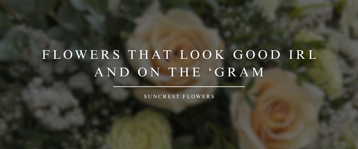 Flowers That Look Good IRL and On the ‘Gram