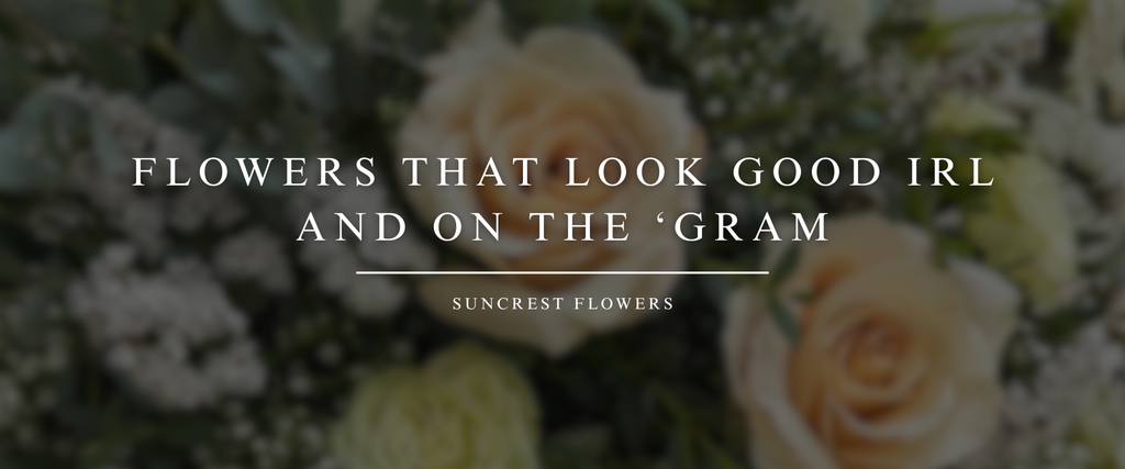 Flowers That Look Good IRL and On the ‘Gram