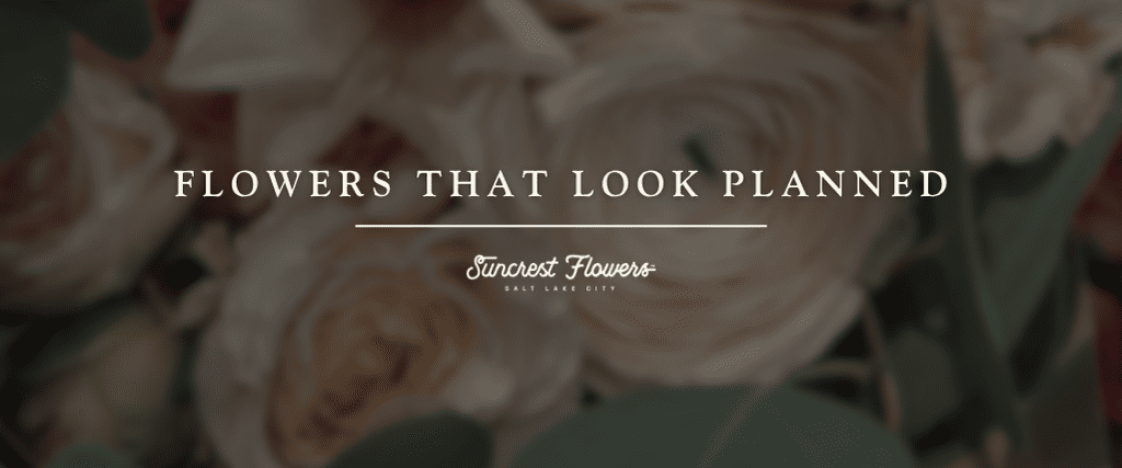 Flowers That Look Planned