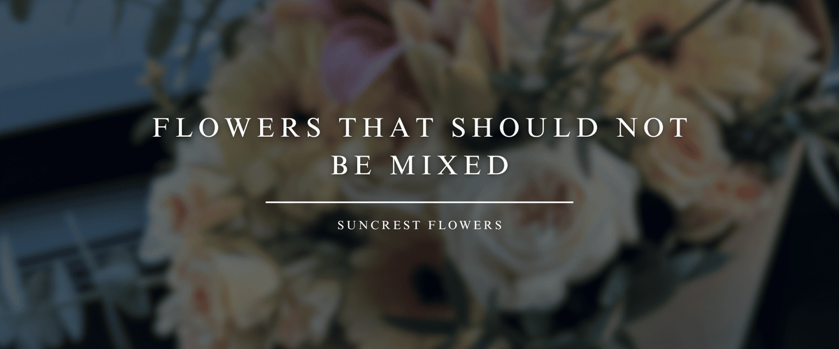 Flowers That Should Not Be Mixed