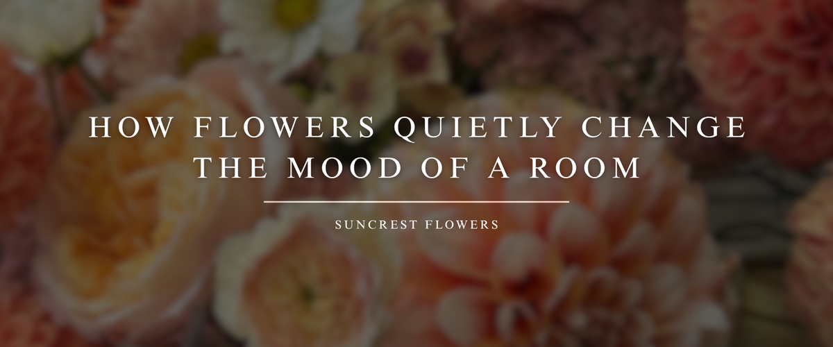 How Flowers Quietly Change the Mood of a Room