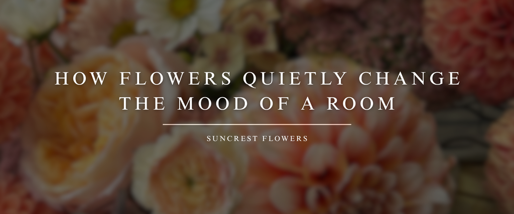 How Flowers Quietly Change the Mood of a Room