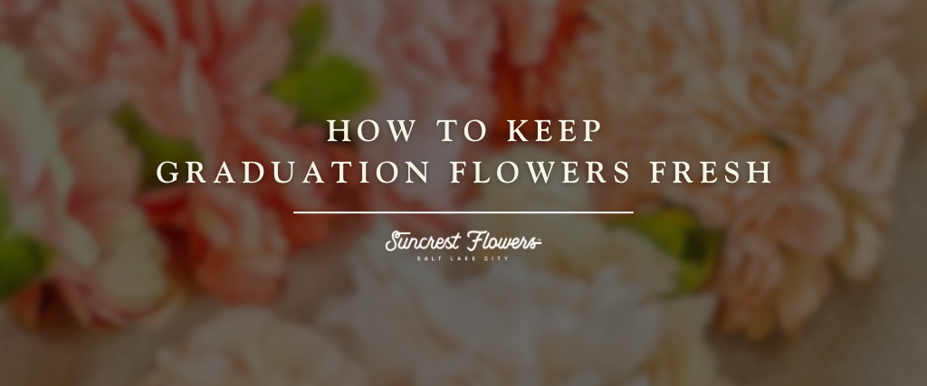 How to Keep Graduation Flowers Fresh