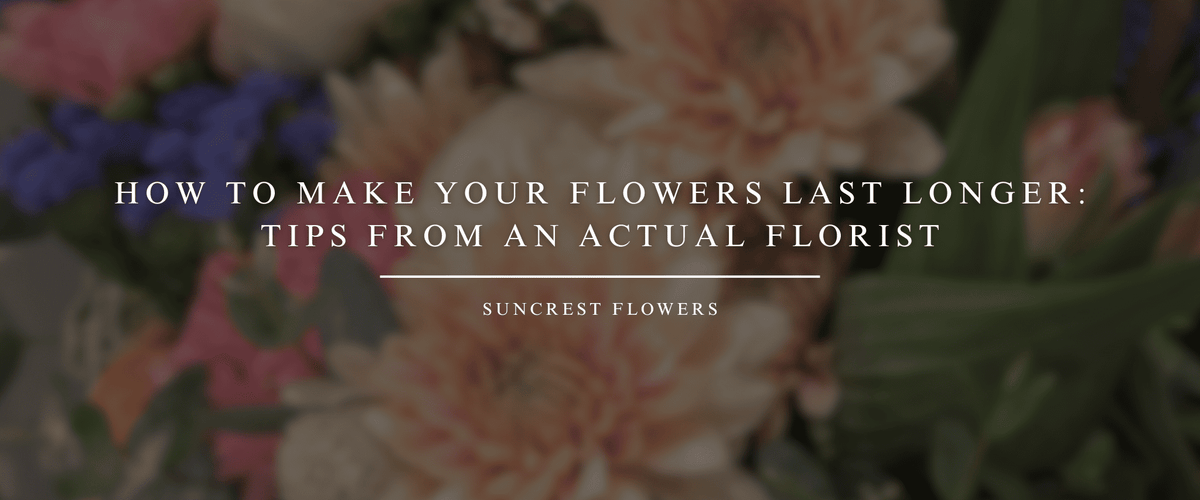 How to Make Your Flowers Last Longer-Tips from an Actual Florist