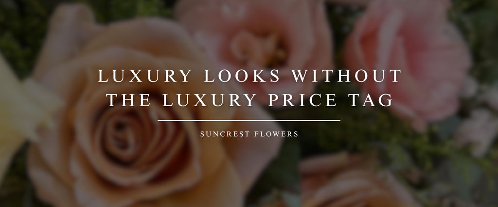 Luxury Looks Without the Luxury Price Tag