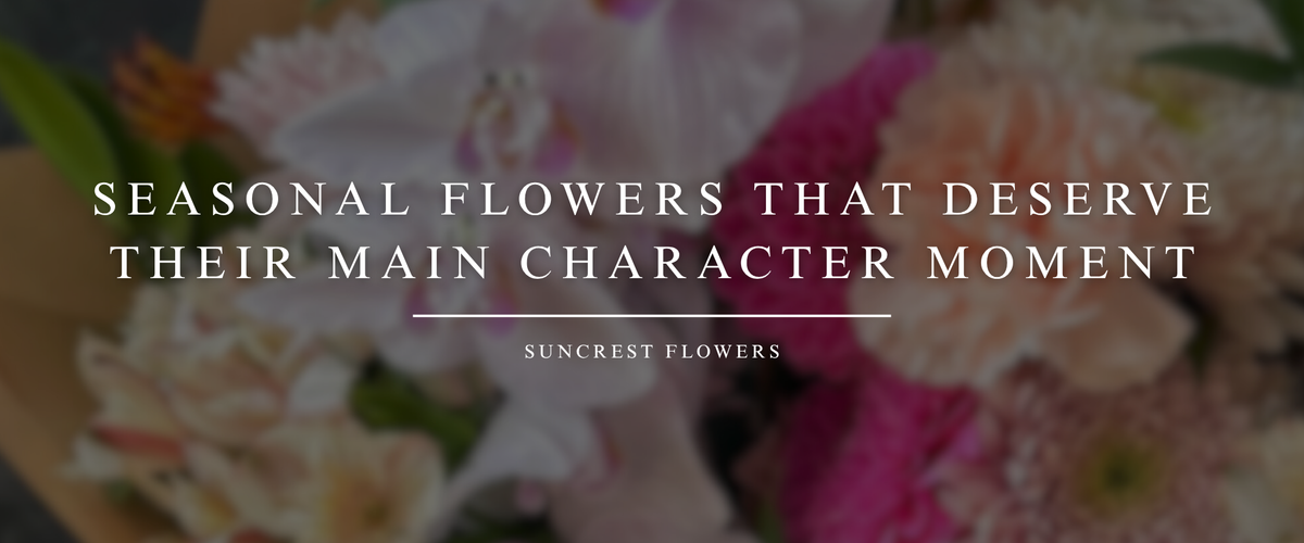 Seasonal Flowers That Deserve Their Main Character Moment