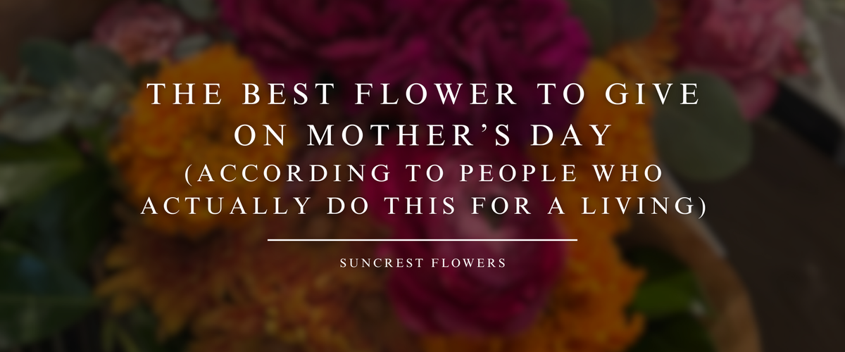 The Best Flower to Give on Mother’s Day (According to People Who Actually Do This for a Living)