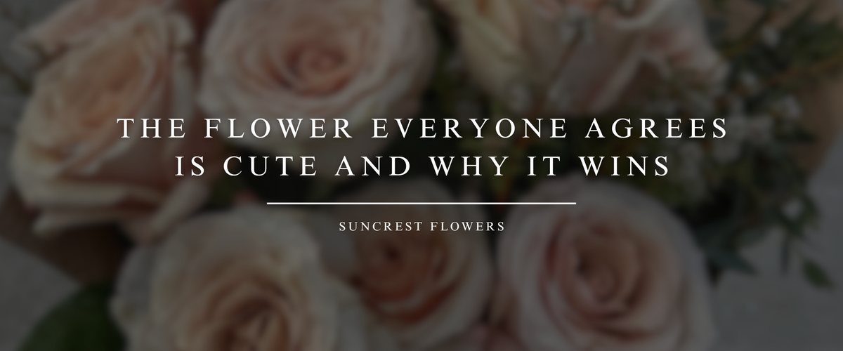 The Flower Everyone Agrees Is Cute and Why It Wins