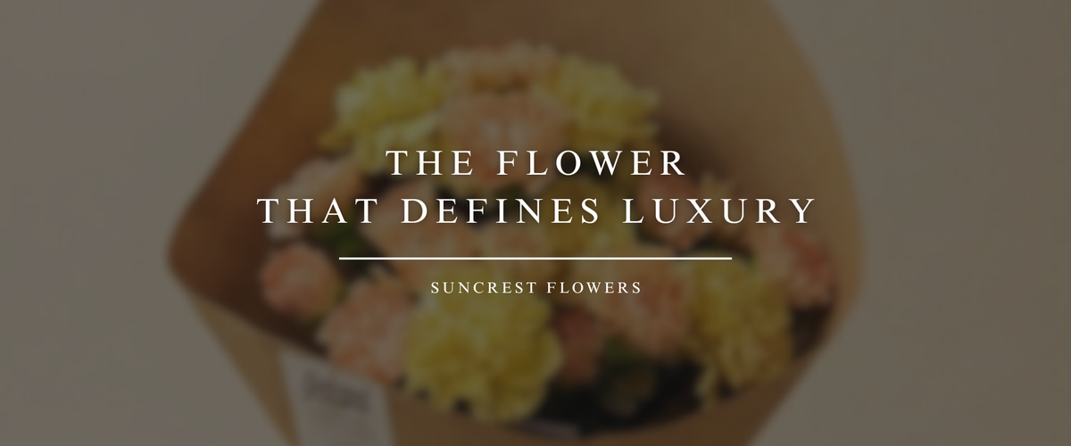 The Flower That Defines Luxury