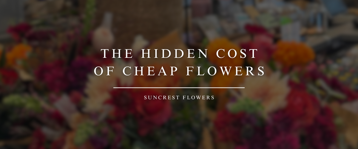 The Hidden Cost of Cheap Flowers