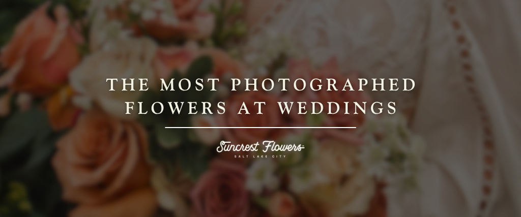 The Most Photographed Flowers at Weddings (And Why It Matters)