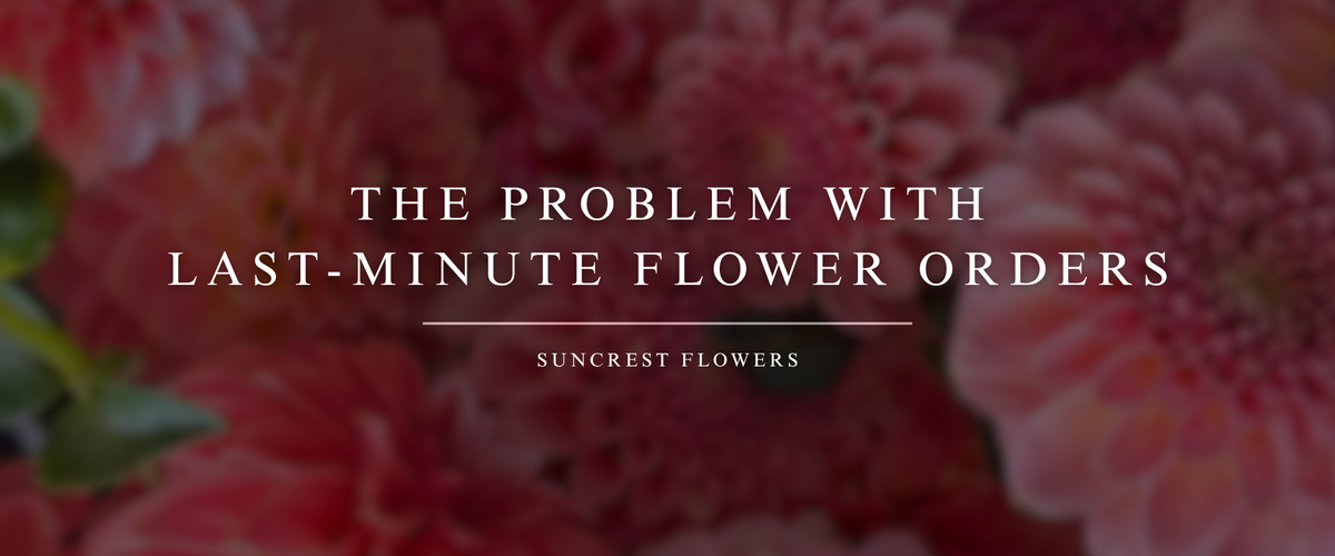 The Problem with Last-Minute Flower Orders (and How to Do It Right Anyway)