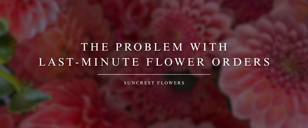The Problem with Last-Minute Flower Orders (and How to Do It Right Anyway)