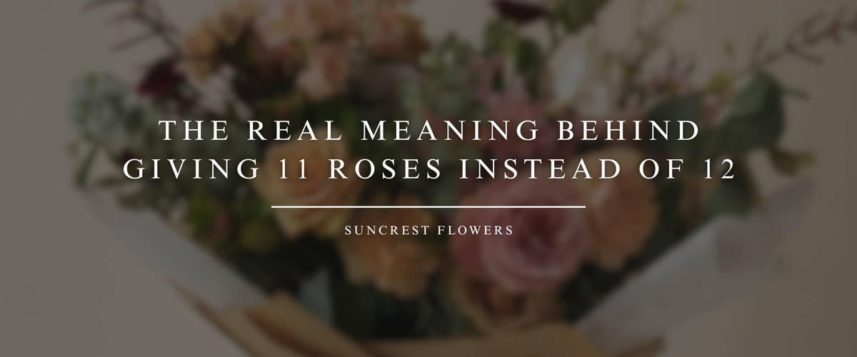 The Real Meaning Behind Giving 11 Roses Instead of 12 – Suncrest Flowers