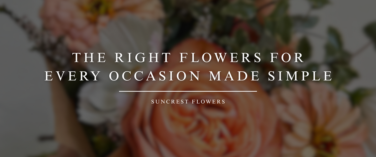 The Right Flowers for Every Occasion Made Simple