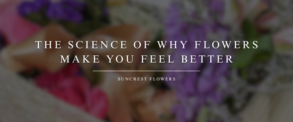 The Science of Why Flowers Make You Feel Better