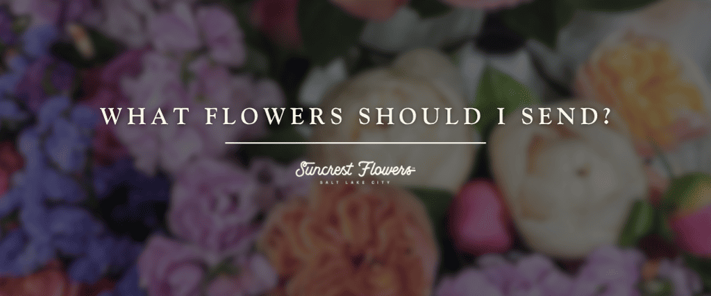 What Flowers Should I Send?