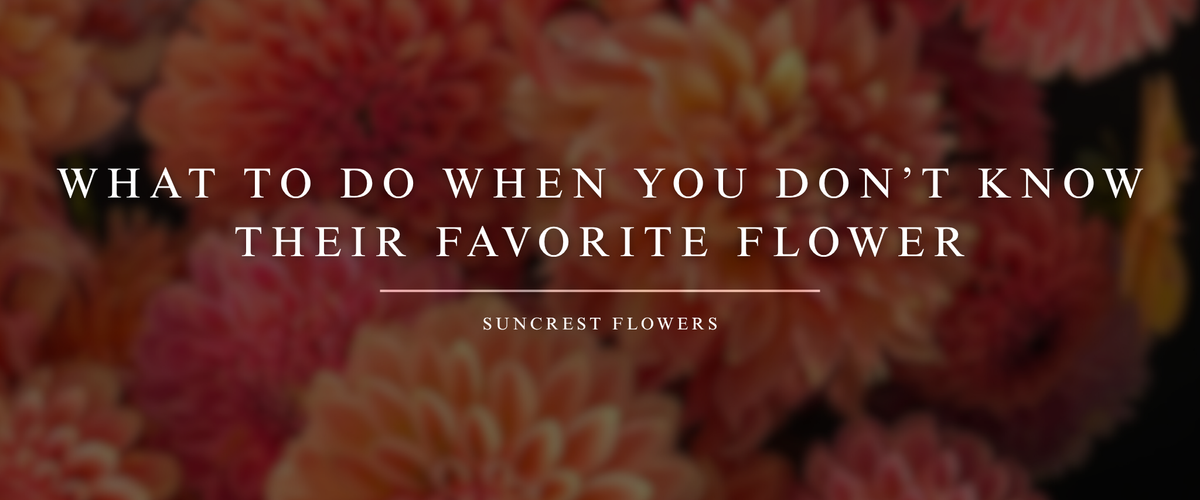 What to Do When You Don’t Know Their Favorite Flower