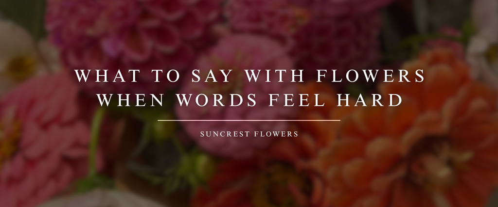 What to Say with Flowers When Words Feel Hard