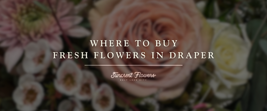 Where to Buy Fresh Flowers in Draper