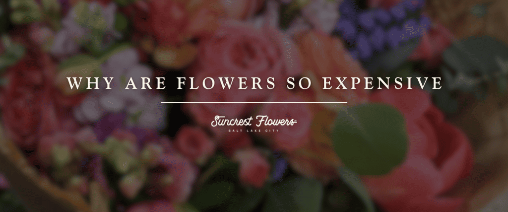 Why Are Flowers So Expensive?