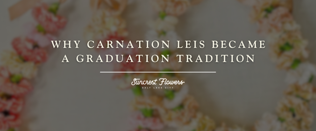 Why Carnation Leis Became a Graduation Tradition