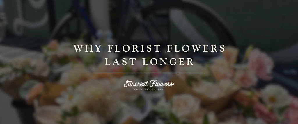 Why Florist Flowers Last Longer