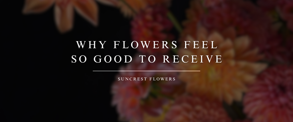 Why Flowers Feel So Good to Receive (Even When They’re Not From Anyone Special)