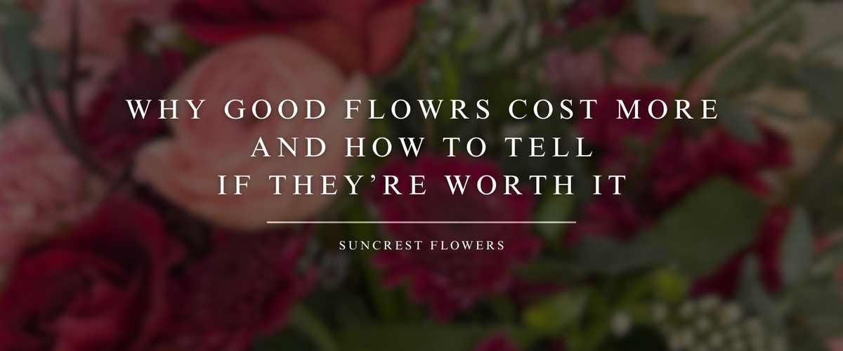 Why Good Flowers Cost More and How to Tell If They’re Worth It
