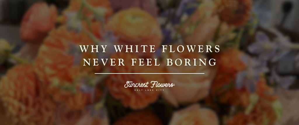 Why White Flowers Never Feel Boring