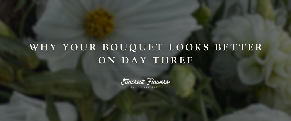 Why Your Bouquet Looks Better on Day Three