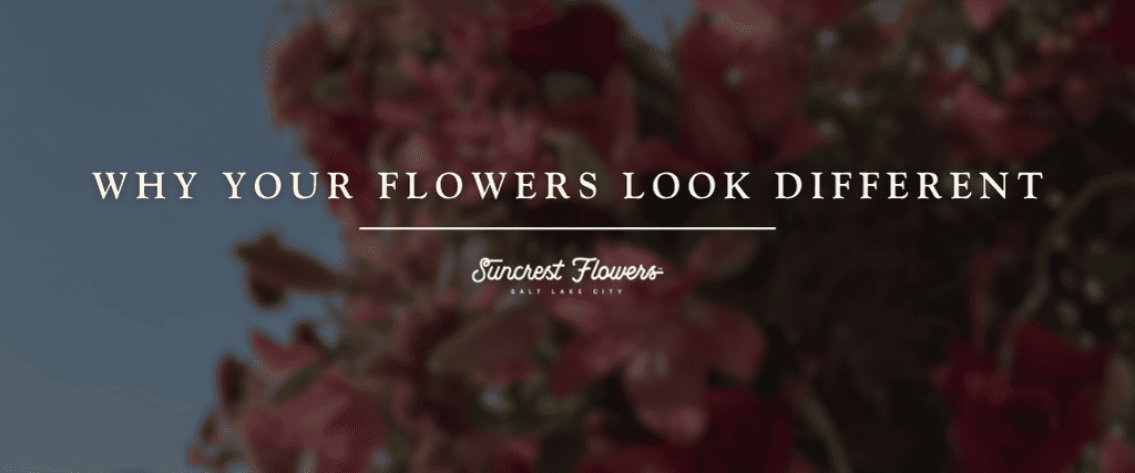 Why Your Flowers Look Different