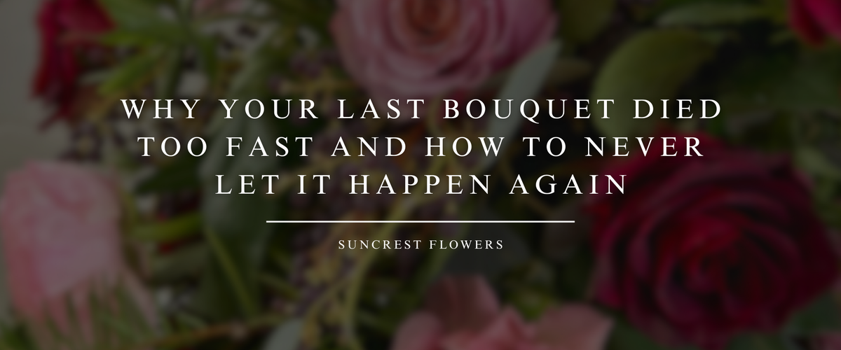 Why Your Last Bouquet Died Too Fast and How to Never Let It Happen Again