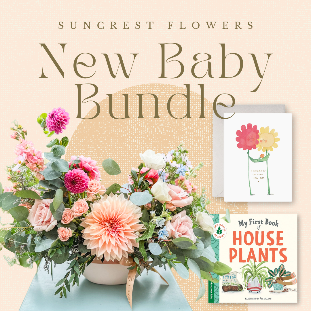 New Baby Bundle