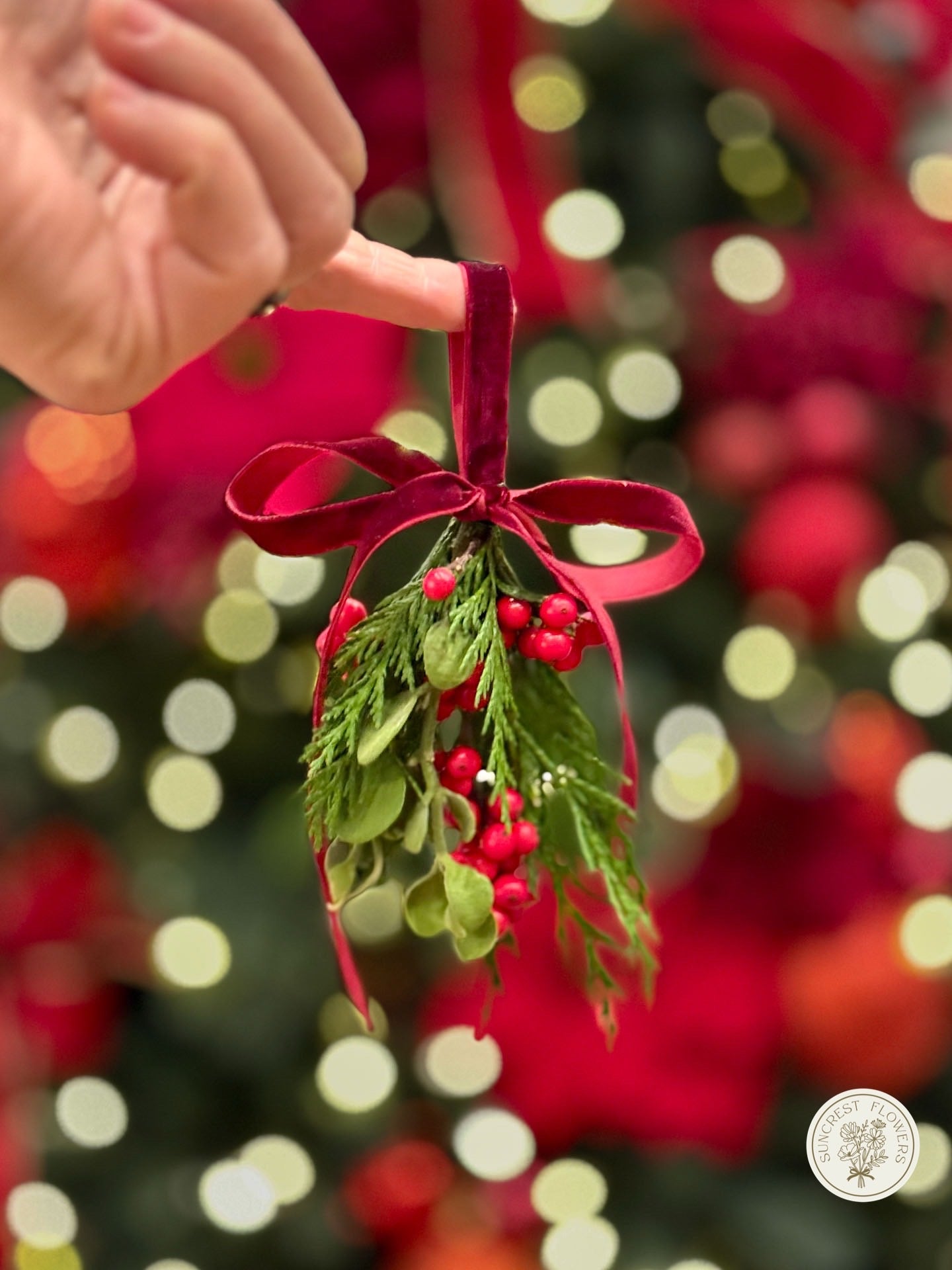 Fresh Real Mistletoe